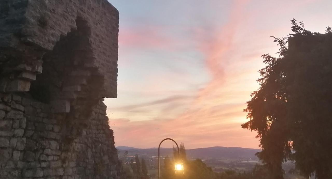 Assisi Garden Suite エクステリア 写真
